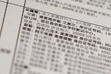 A close up of a Chinese document from a leaked database.