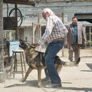Romain Gary (Denis Ménochet) croit en la rédemption : « Si on tue ce chien, on baisse les bras. »