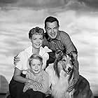 June Lockhart, Jon Provost, Hugh Reilly, Lassie the Dog, and Lassie in Lassie (1954)