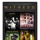 Witness (2012)