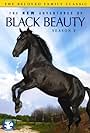The New Adventures of Black Beauty (1990)