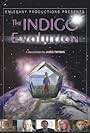 The Indigo Evolution (2006)