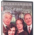 Jack Lemmon, Walter Matthau, Sissy Spacek, and Mary Steenburgen in The Grass Harp (1995)
