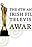 The 6th Annual Irish Film and Television Awards