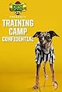 Puppy Bowl XIV Presents: Training Camp Confidential (2018)