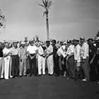Black and White, Putter, Sports, Palm Tree, Entertainment, Putting Green mptv_2018_May_to_August_Update