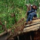 Jorge Garcia and Dominic Monaghan in Lost (2004)