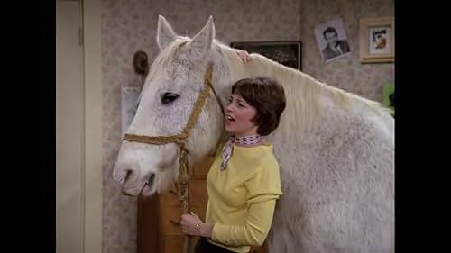 Laverne convinces her dad to help hide a horse until they find a new home for him.