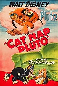 Primary photo for Cat Nap Pluto