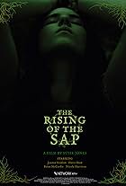 The Rising of the Sap