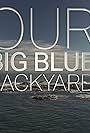 Our Big Blue Backyard (2014)