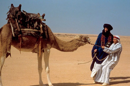 Image may contain Human Person Animal Horse Mammal and Camel