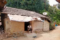 In Adivasi Hamlets Of Maharashtras Raigad, People Claim Rights Over Jungle and Jameen