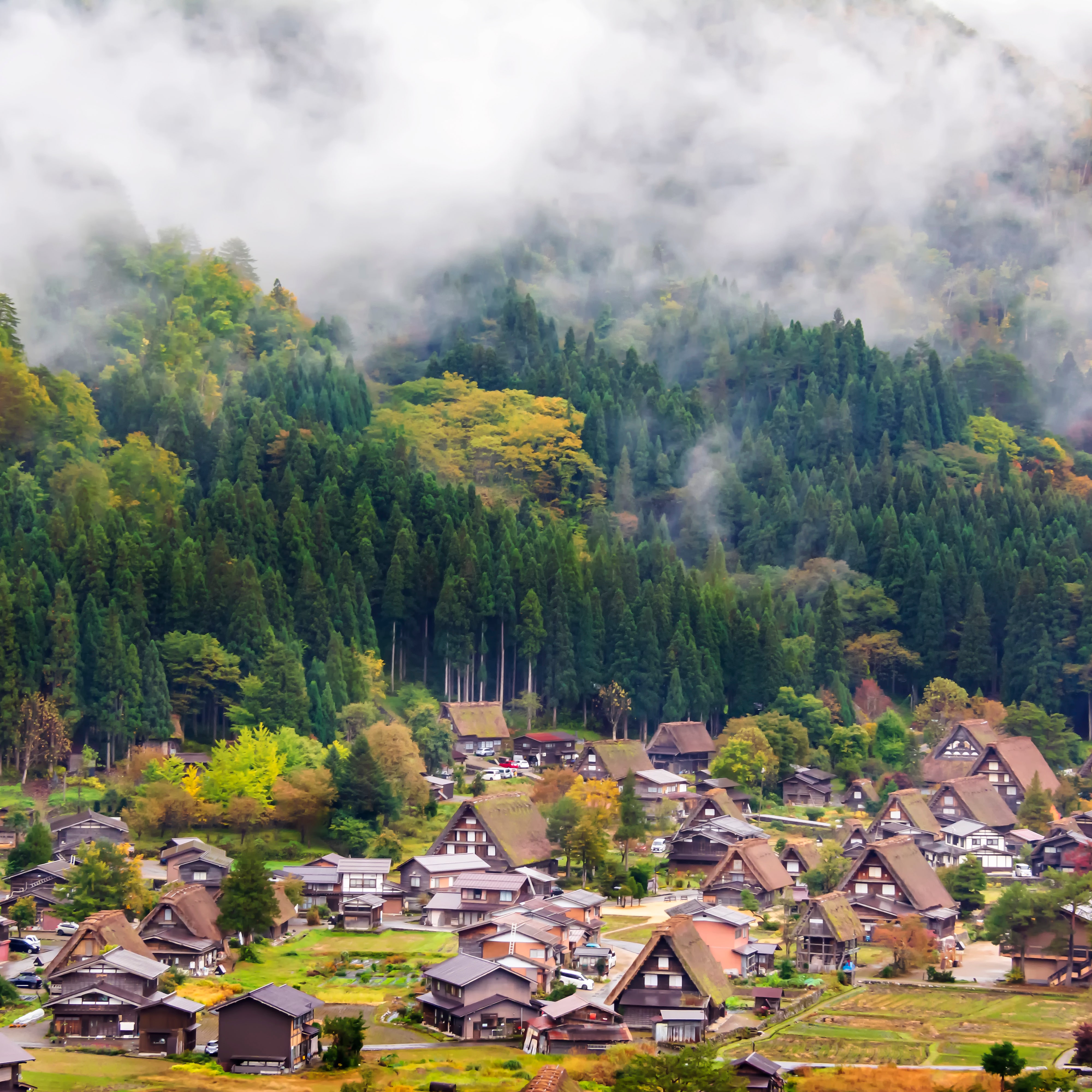 Unpacking Akiya: The Millions of Empty Houses in Japan