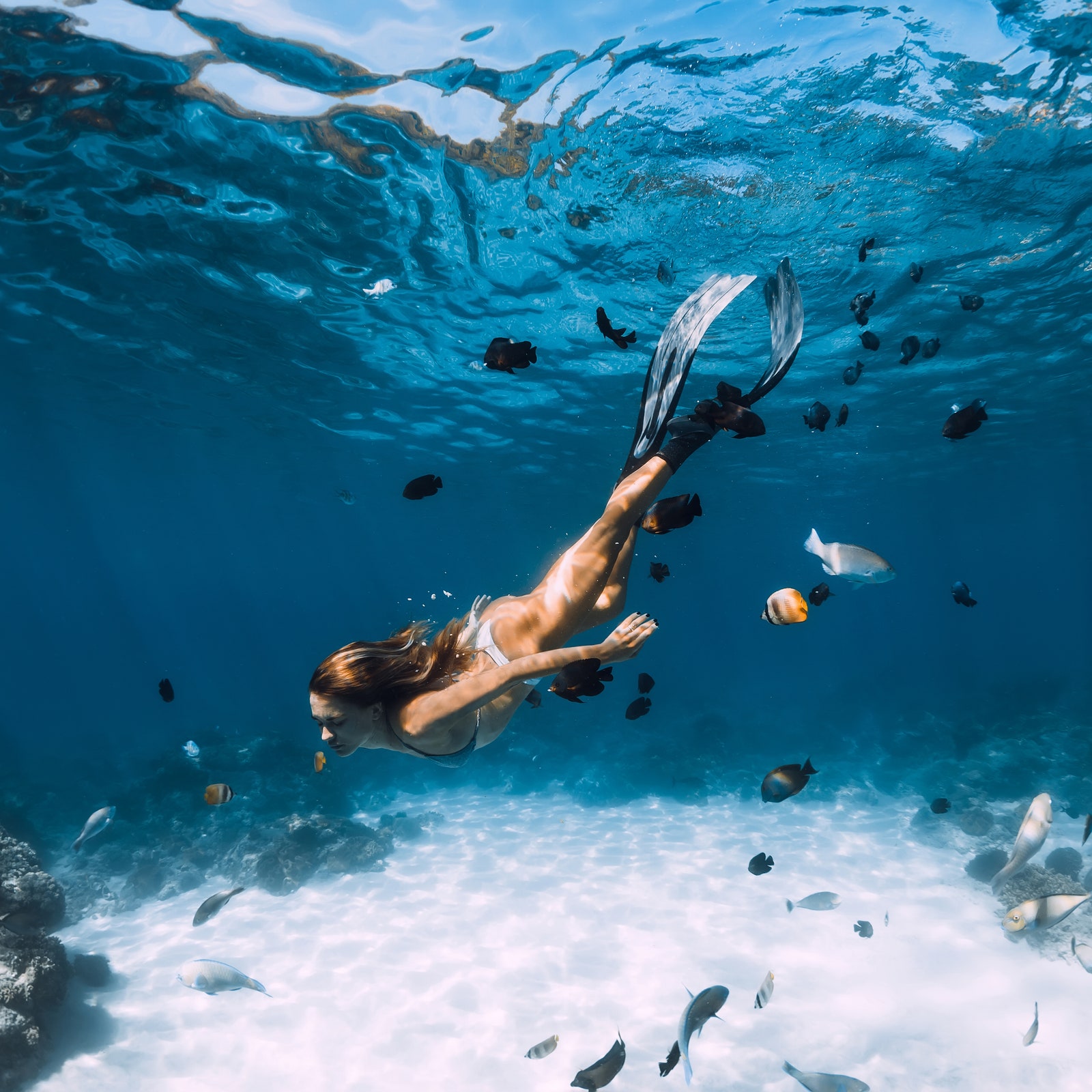The 31 best places to snorkel in the world, from the Maldives to Iceland
