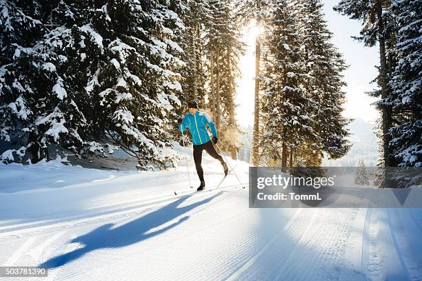 cross country skiing - winter sport stock pictures, royalty-free photos & images