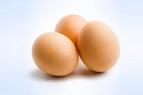 Россельхознадзор: Количество ввезенных в РФ яиц из Турции достигло 1,2 млн штук