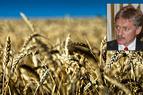 Кремль отреагировал на информацию о пошлинах Турции на пшеницу