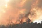 Лесной пожар возник у турецкой Аланьи недалеко от населенных районов