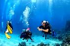 В Турции проходит чемпионат по подводной фотографии