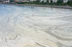 Повышение температуры воды в Мраморном море является причиной ряда экологических проблем