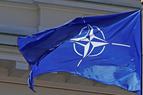 Турция ждёт поддержки НАТО из-за ситуации в Идлибе
