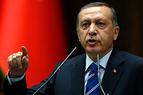 Эрдоган раскритиковал высказывания президента Германии