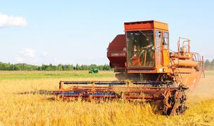 Турецкие производители готовы к поставкам российских зерновых в Африку