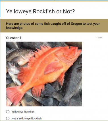 image of rockfish quiz page