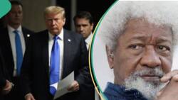 “Not yet uhuru”: Soyinka reacts as trump convicted for 34 charges