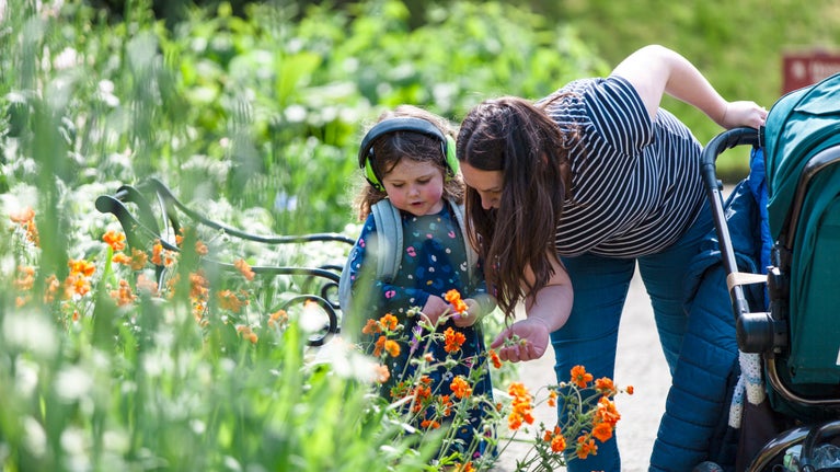 A young child and her mother bending down to look at flowers in the Sunken Garden in May at Castle Ward, County Down, Northern Ireland