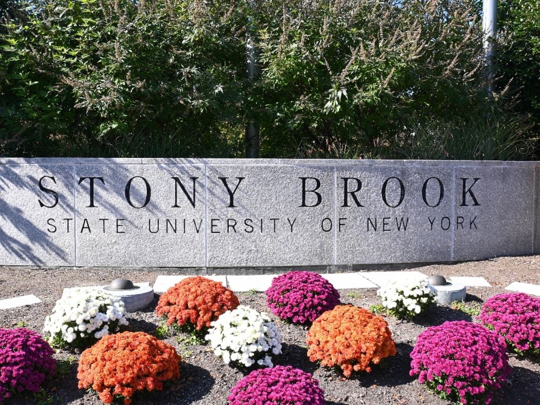 29 Arrested At Pro-Palestine Rally At Stony Brook University: Report