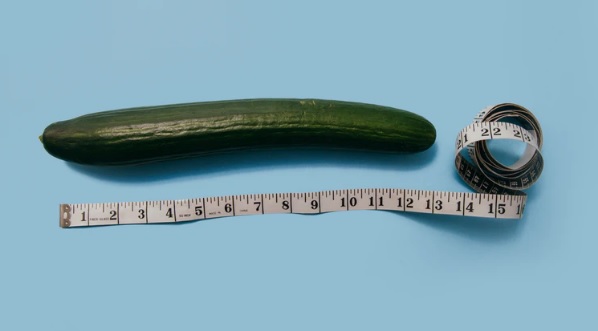 Does Penis Size Really Matter For Sexual Stimulation?