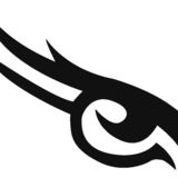 The "Eagle Eye News" user's logo