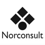The "norconsultSE" user's logo
