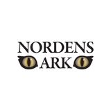 The "Nordens Ark" user's logo