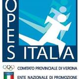 The "Opes Verona" user's logo