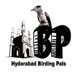 The "Hyderabad Birding Pals" user's logo