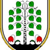 The "Barjanski list občine Brezovica" user's logo