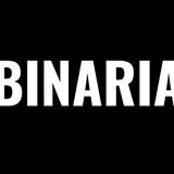 The "Binaria Arte" user's logo