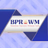 The "Bizdev BPR WM" user's logo