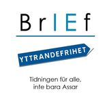 The "BrIEf EHVS" user's logo