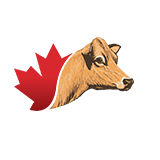 The "Canadian Jersey Breeder" user's logo