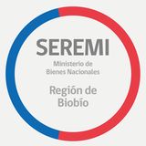 The "Seremi Bienes Nacionales Biobío" user's logo