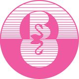 The "Brentford School for Girls & Sixth Form" user's logo