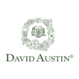 The "David Austin Roses" user's logo
