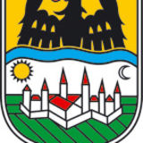 The "DG OSIJEK" user's logo