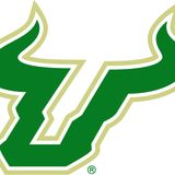 The "USF Bulls" user's logo