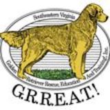 The "Southeastern Virginia Golden Retriever Education And Training, Inc" user's logo