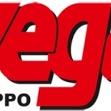 The "GruppoVega" user's logo